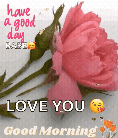 Pink Rose Have A Good Day Babe Love You Good Morning GIF