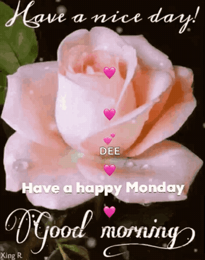 Pink Rose Have A Nice Day Have A Happy Monday Good Morning GIF