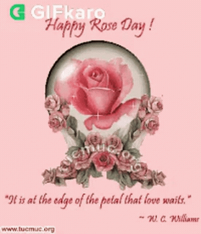Pink Rose In Glass Ball With W. C. Williams Quote GIF
