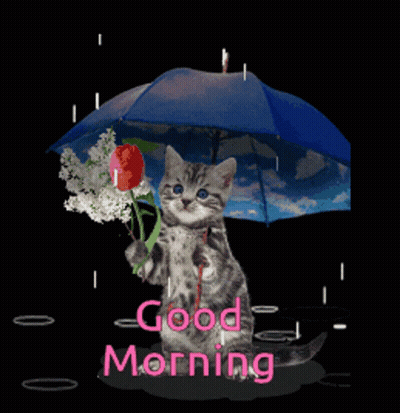 Pink Rose In Rain Good Morning GIF