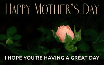 Pink Rose Saying Happy Mother's Day I Hope You're Having A Great Day GIF