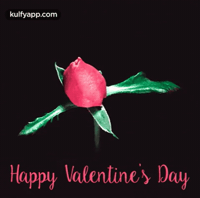 Pink Rose Saying Happy Valentine's Day GIF