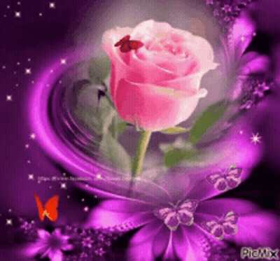 Pink Rose Surrounded By Purple Flowers And Butterflies GIF