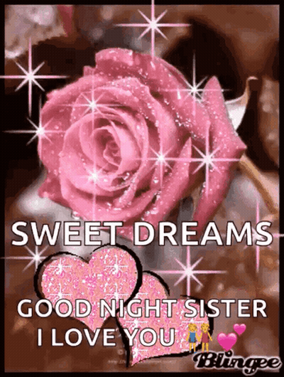 Pink Rose Sweet Dreams Good Night Sister I Love You GIF