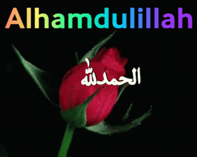 Pink Rose With Arabic Writing Alhamdulillah GIF