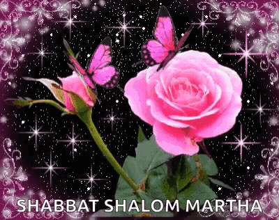 Pink Rose With Butterflies On Black Background GIF