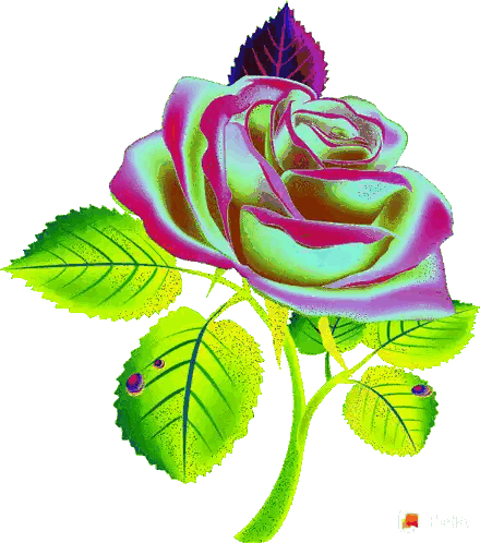 Pink Rose With Green Leaves Sticker