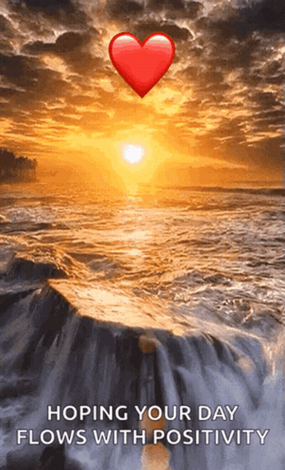 Pink Rose With I Love You GIF