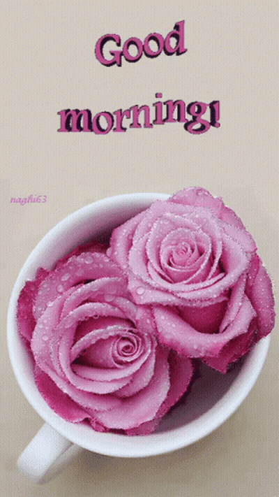 Pink Roses Cup Saying Good Morning GIF