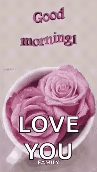 Pink Roses Cup With Good Morning Love GIF