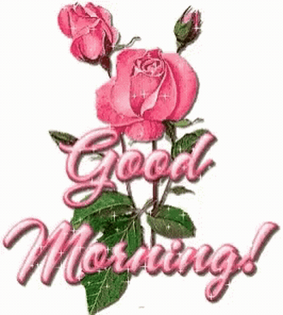Pink Roses Good Morning GIF