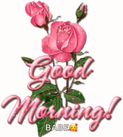 Pink Roses Good Morning Babe GIF