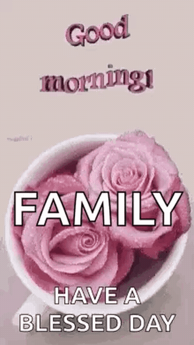 Pink Roses Good Morning Family Blessed Day GIF