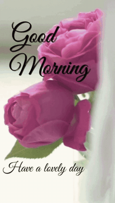Pink Roses Good Morning Have A Lovely Day GIF