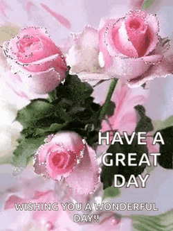 Pink Roses Have A Great Day GIF