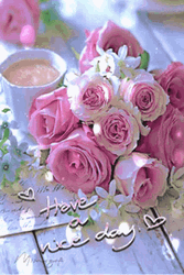 Pink Roses Have A Nice Day GIF