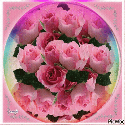 Pink Roses In A Circle With Picmix GIF