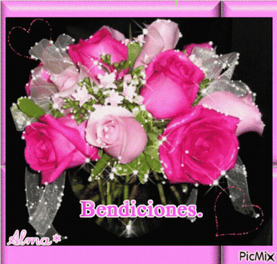 Pink Roses In Pink Frame Saying Bendiciones GIF
