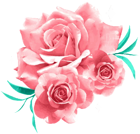 Pink Roses Sticker