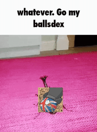Pink Rug With British Flag GIF
