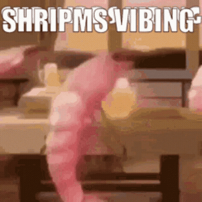 Pink Shrimp Saying Shripms Vibing GIF