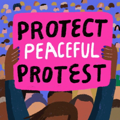 Pink Sign Saying Protect Peaceful Protest GIF