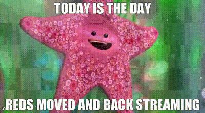 Pink Starfish Saying Today Is The Day Reds Moved And Back Streaming GIF