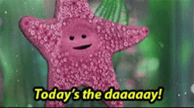 Pink Starfish Saying Todays The Daaay GIF