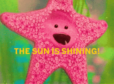 Pink Starfish The Sun Is Shining GIF
