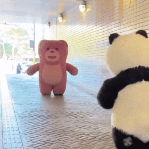 Pink Teddy Bear And Panda Bear Standing Next To Each Other GIF