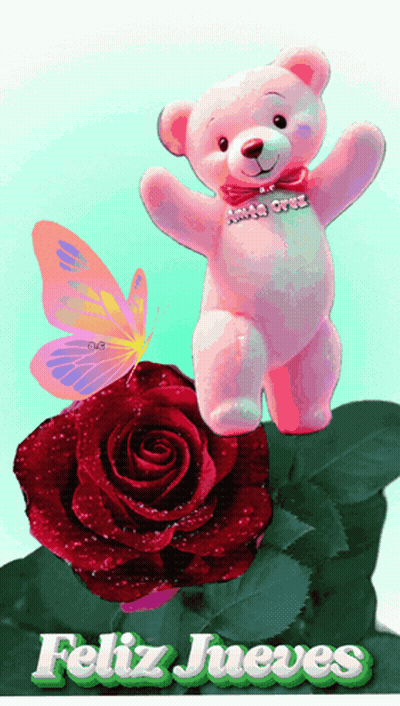 Pink Teddy Bear On Red Rose With Butterfly Feliz Jueves GIF