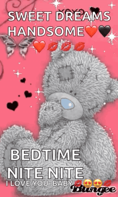 Pink Teddy Bear Saying Sweet Dreams Handsome GIF