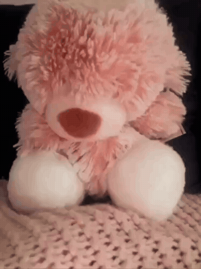 Pink Teddy Bear Sitting On Blanket On Bed GIF