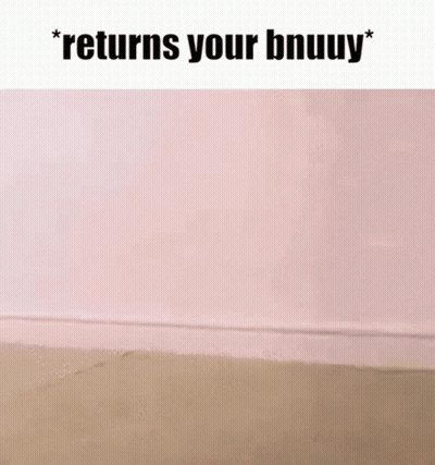 Pink Wall Returns Your Bnuuy GIF