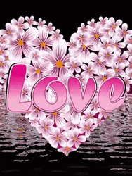 Pink Wildflower Heart Water Love GIF