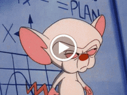 Pinky And The Brain 90S Cartoon GIF