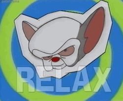 Pinky And The Brain 90S Cartoon GIF
