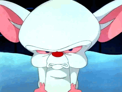 Pinky And The Brain Angry Eye Twitch GIF
