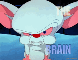 Pinky And The Brain Angry The Brain GIF