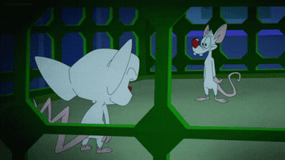Pinky And The Brain Are Looking At Each Other In A Cartoon GIF