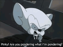 Pinky And The Brain Are You Pondering GIF