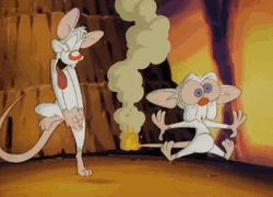 Pinky And The Brain Burning Fire GIF