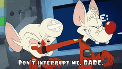 Pinky And The Brain Don't Interrupt Me GIF