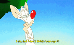Pinky And The Brain Don't Think I Can Say GIF