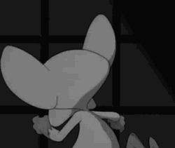 Pinky And The Brain Evil Plan Speech GIF