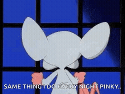 Pinky And The Brain Is Standing In Front Of A Window And Saying `` Same Thing I Do Every Night Pinky ... '' GIF