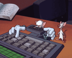 Pinky And The Brain Keyboard Typing GIF