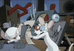 Pinky And The Brain Mad Scientist Hit GIF