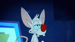 Pinky And The Brain Pinky Excited Yay GIF