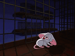 Pinky And The Brain Pinky Scared GIF